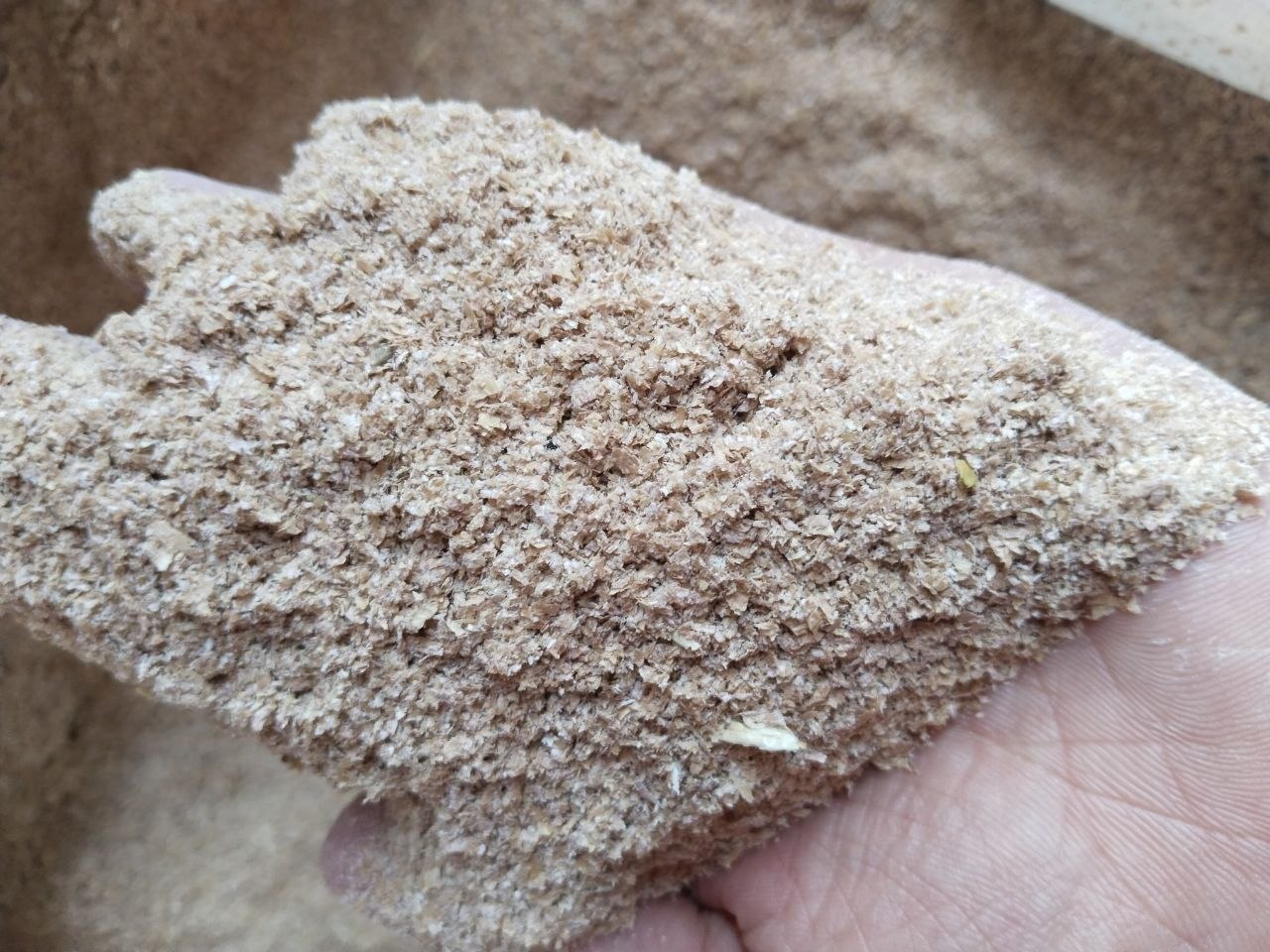 Qozoq kepak — 25 kg qopda, standart sifat