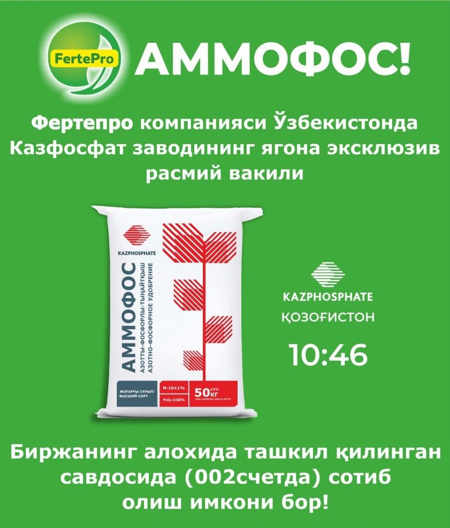Assosiy ombor Sirdaryo Oqoltinda