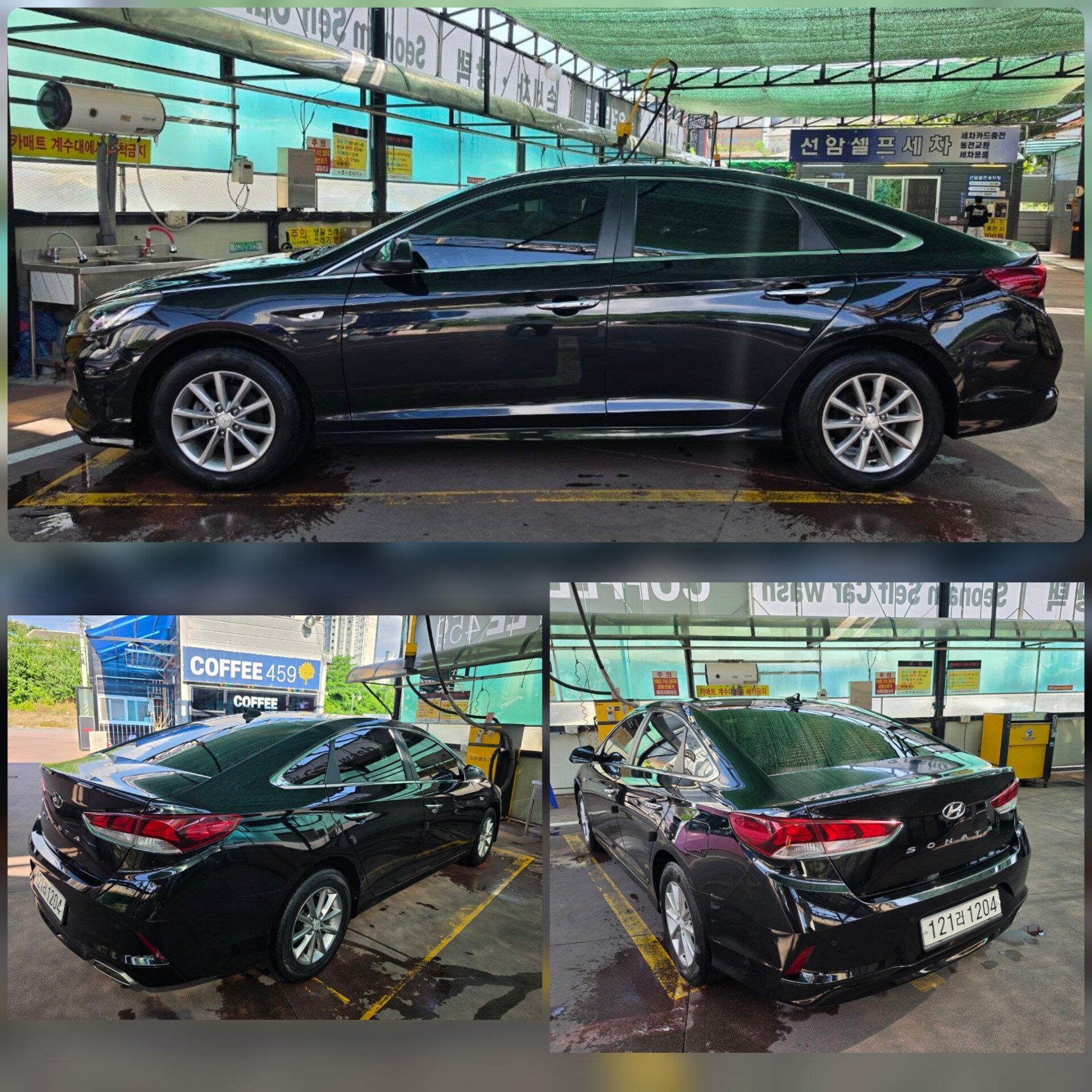 Sonata 2018