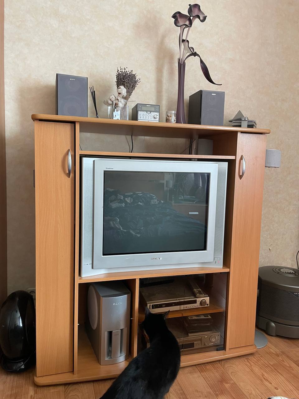 Sony televizor va tumba — shokolad uchun