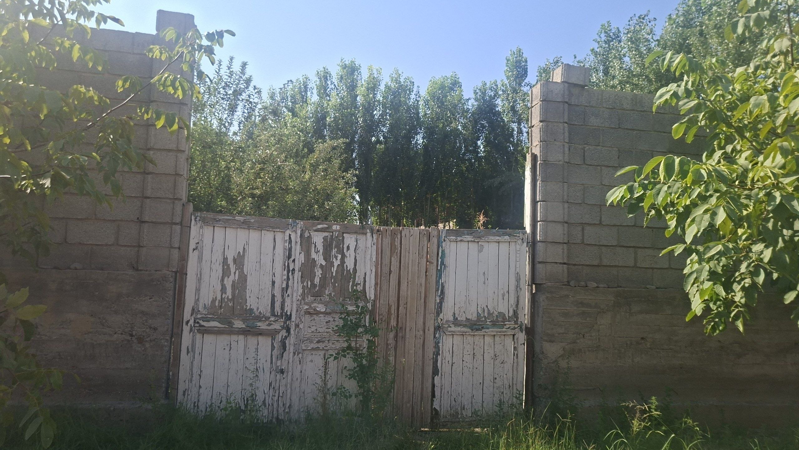 6 sotih yer — yaxshi joyda, hujjatlari tayyor