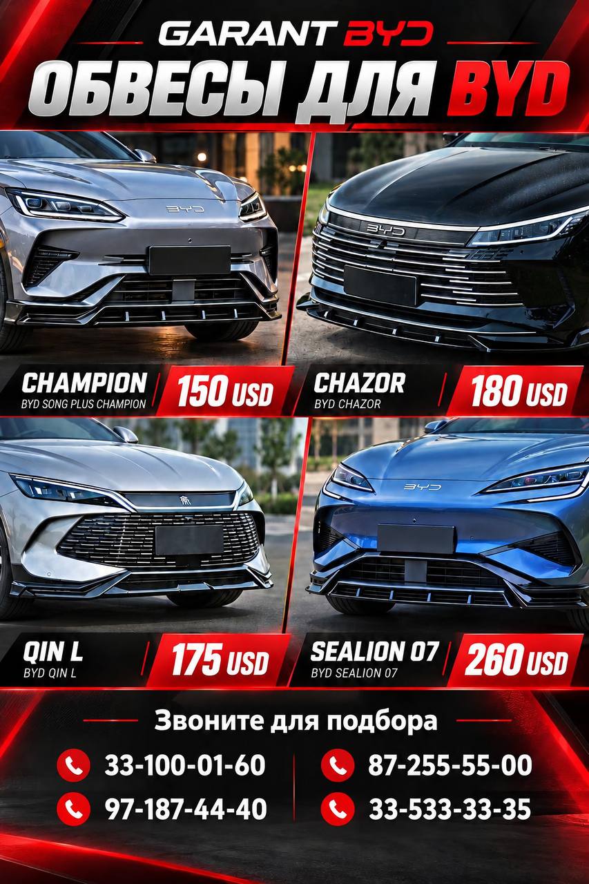 BYD E