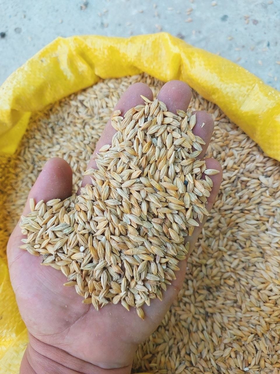 Складдан юкланади