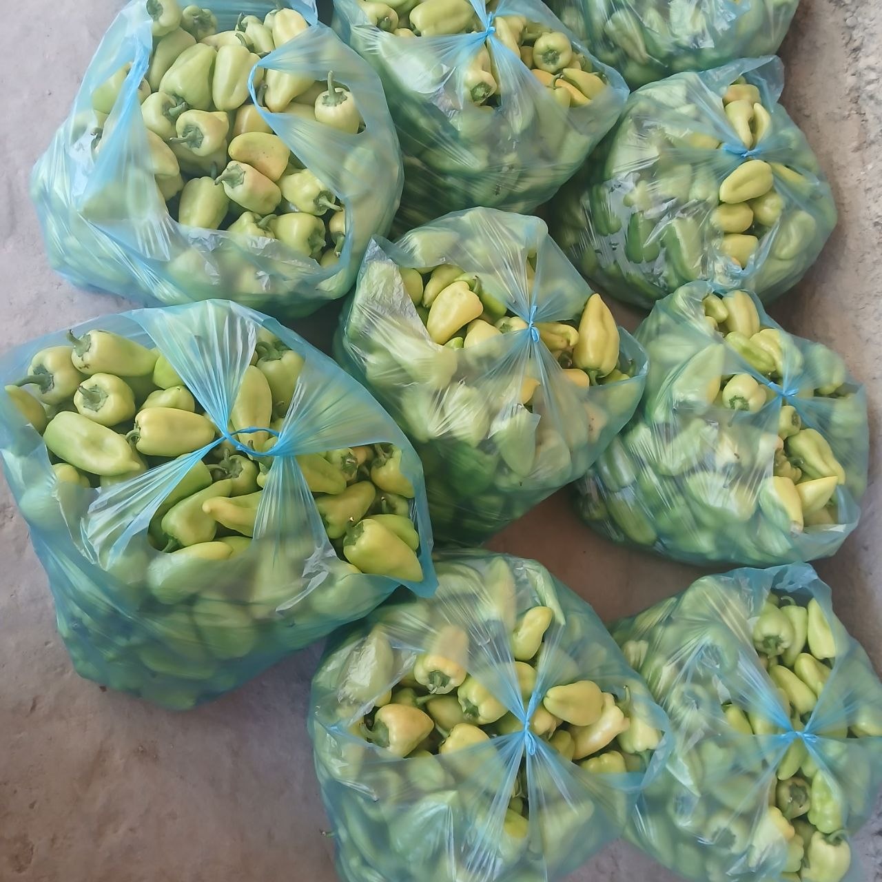 Akala shu balgardan 16 paket bor aloqa uchun