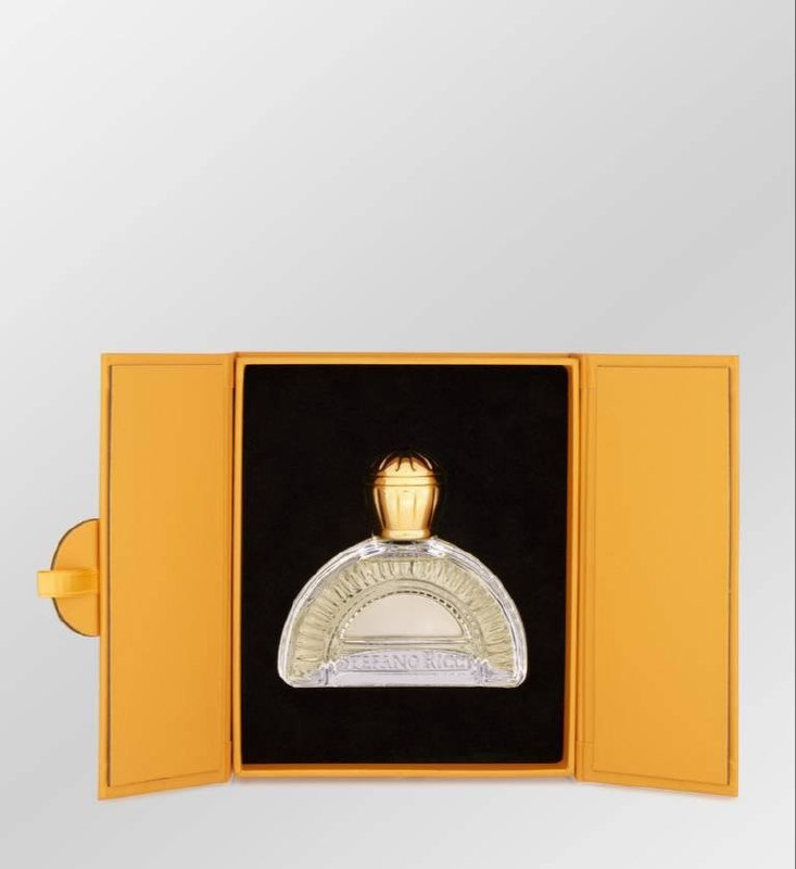 Stefano Ricci CLASSIC edp M 100ml