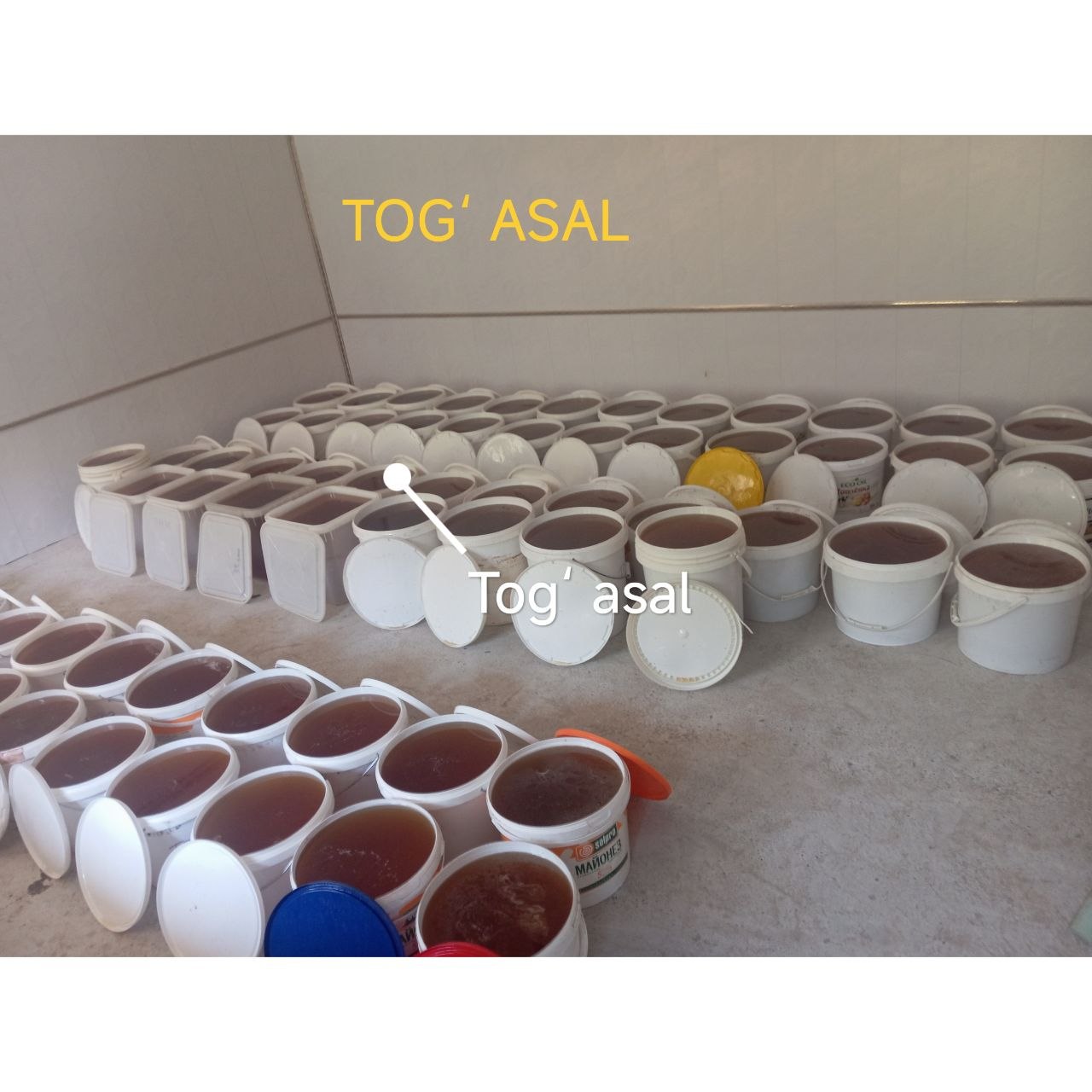 Togʻ asal va Pahta asallarimiz