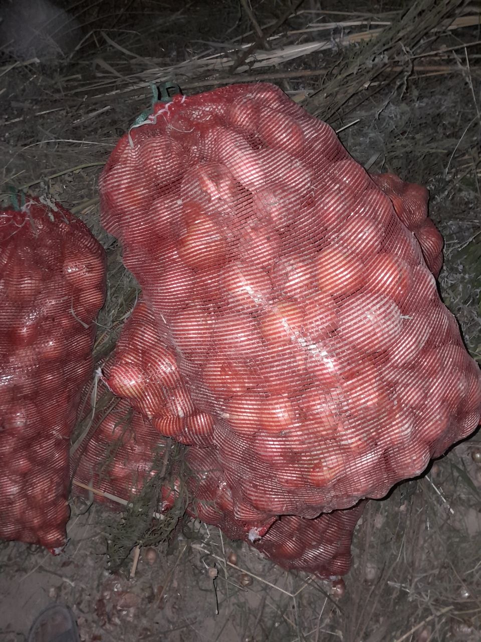 Manashu piyozdan bor 70 qop