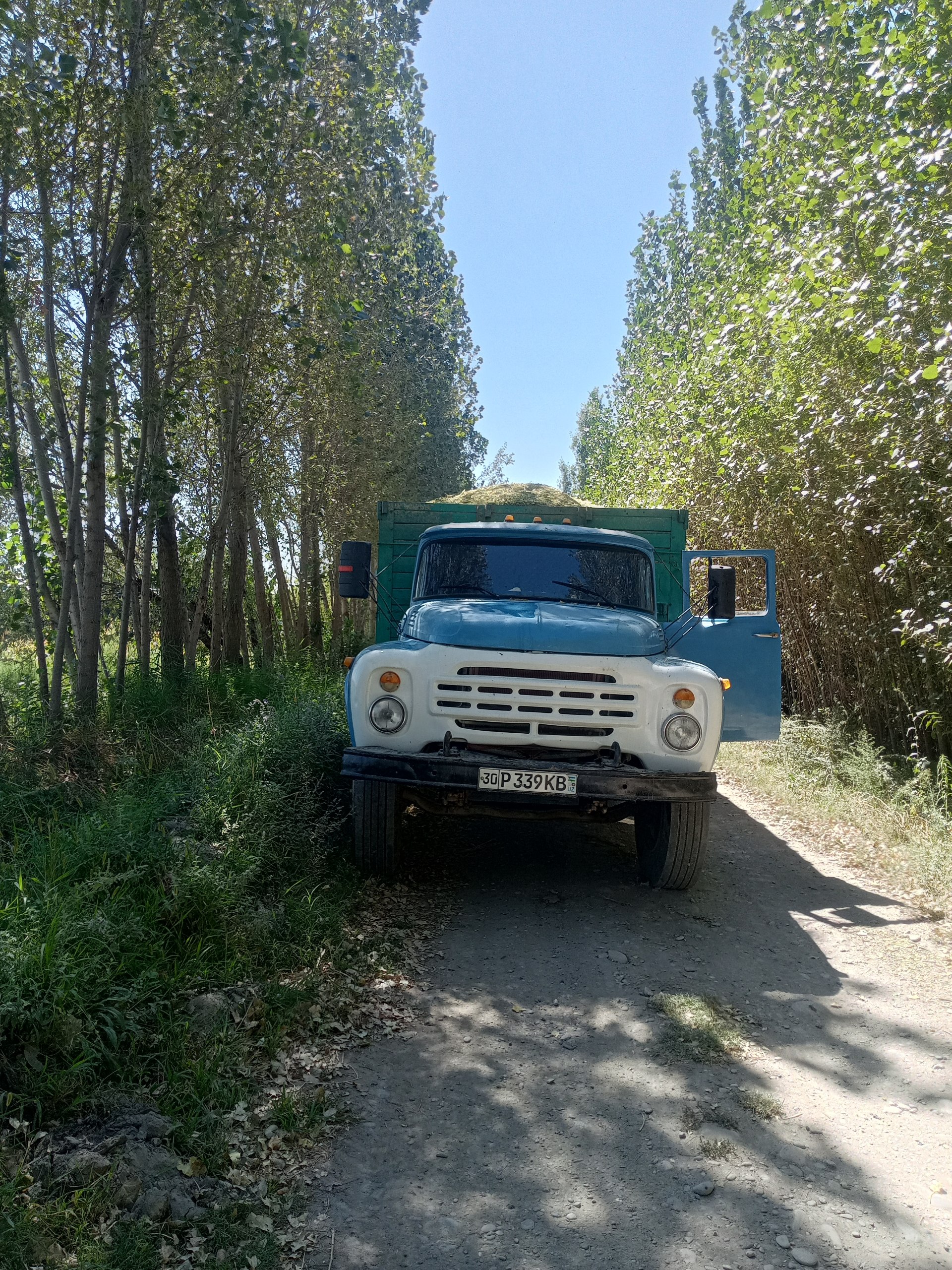 Silos narxi telda