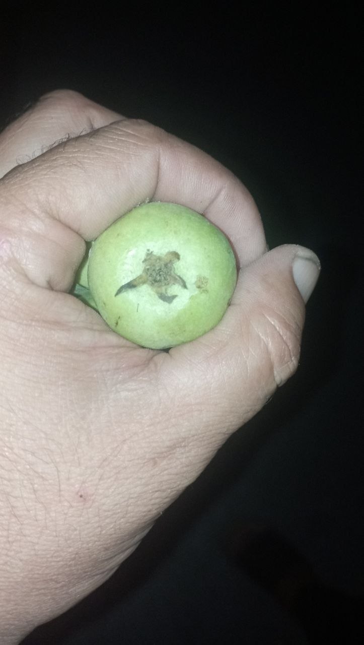 Shu nok(olmurut) dan kimda bo'lsa olamiz murojaat uchun