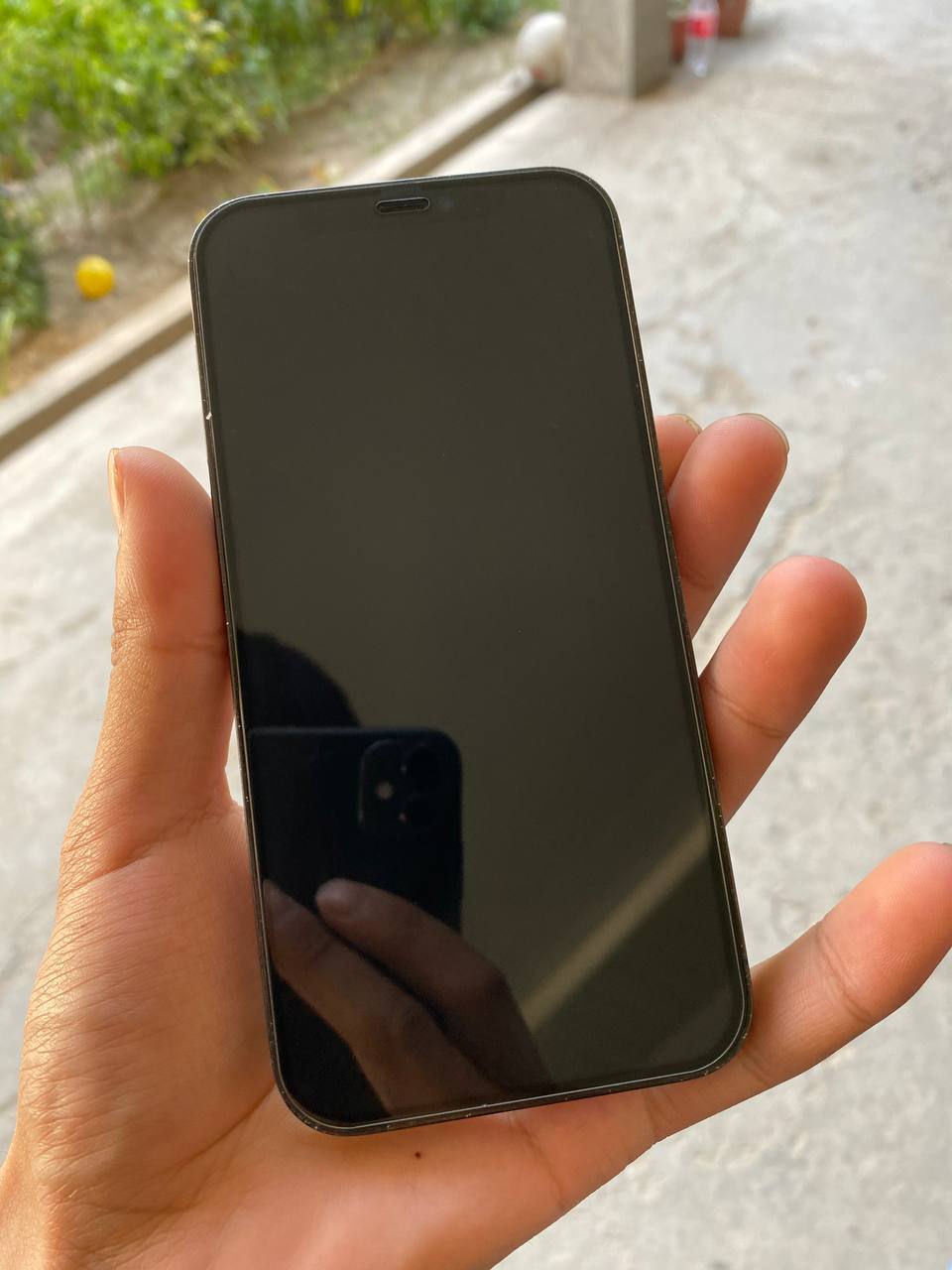 Iphone 12 pro