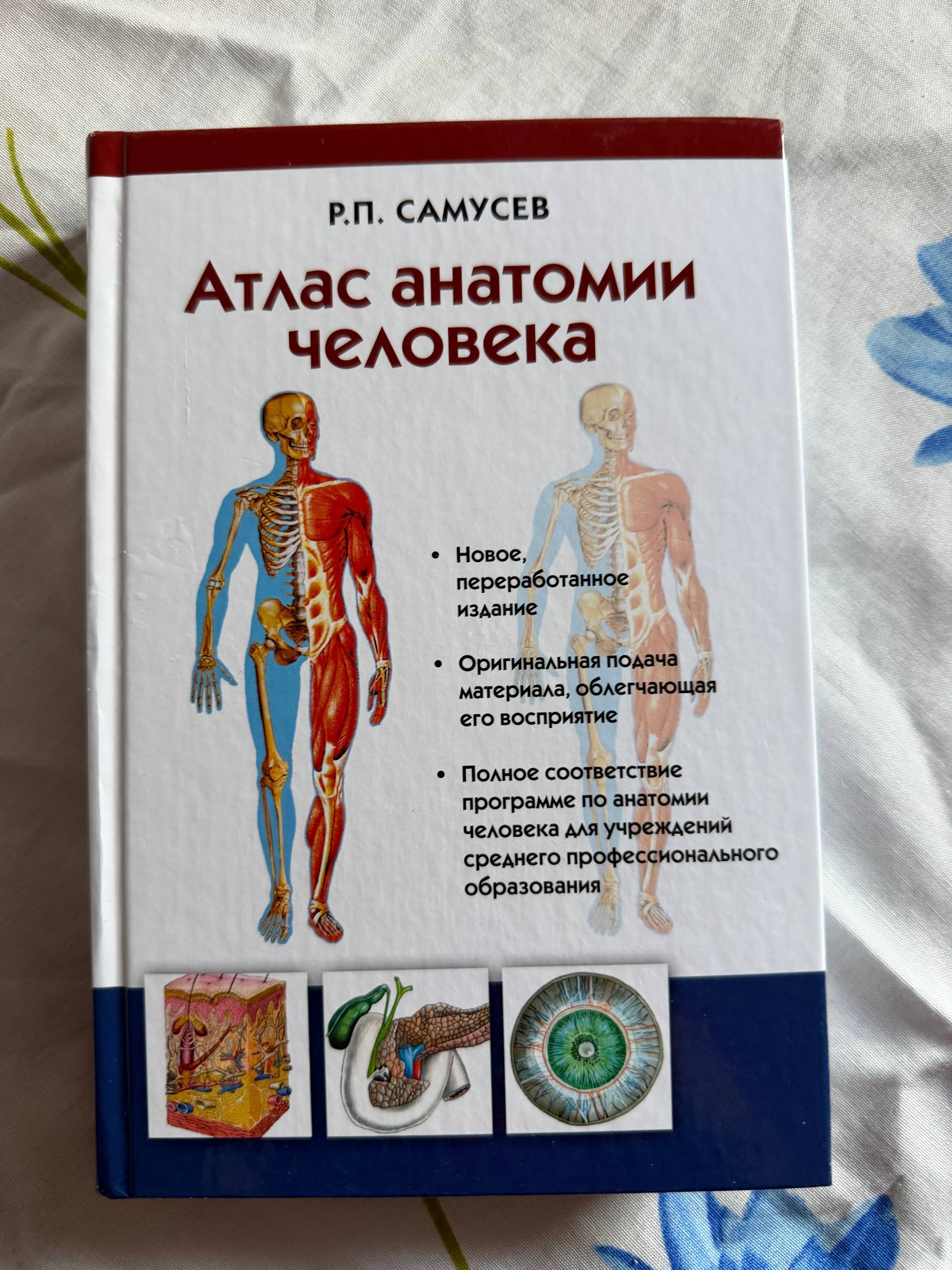 Atlas anatomiyasi — yangi, yozuvsiz