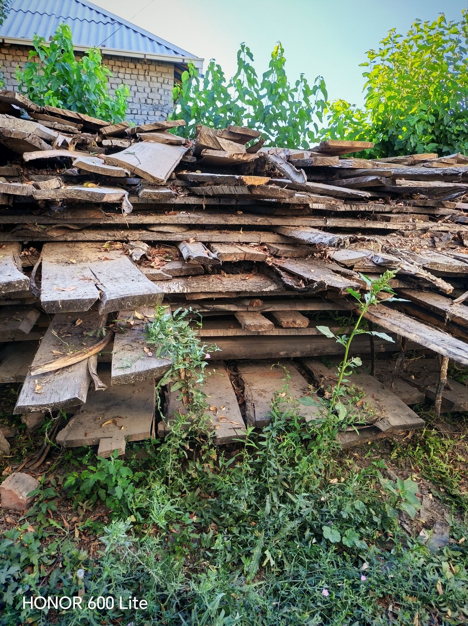 Vassa — sifatli mahsulot