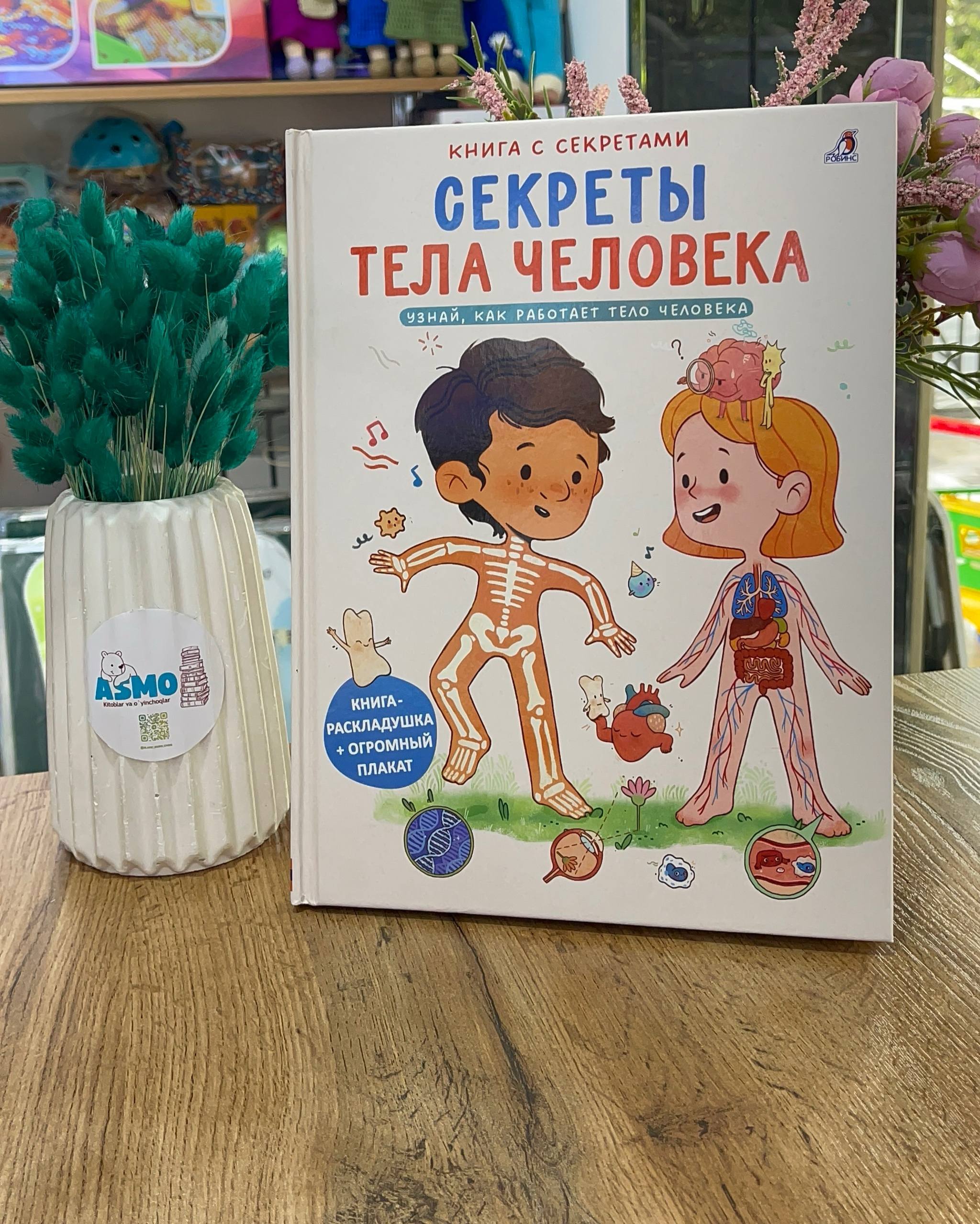 Anatomiya fanidan bolalar uchun kitob — ajoyib qo‘llanma