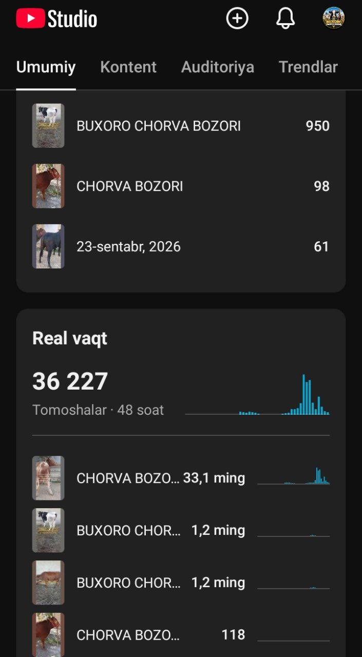 Va albatta rivojlanayotgan loyihani qo‘llab-quvvatlab