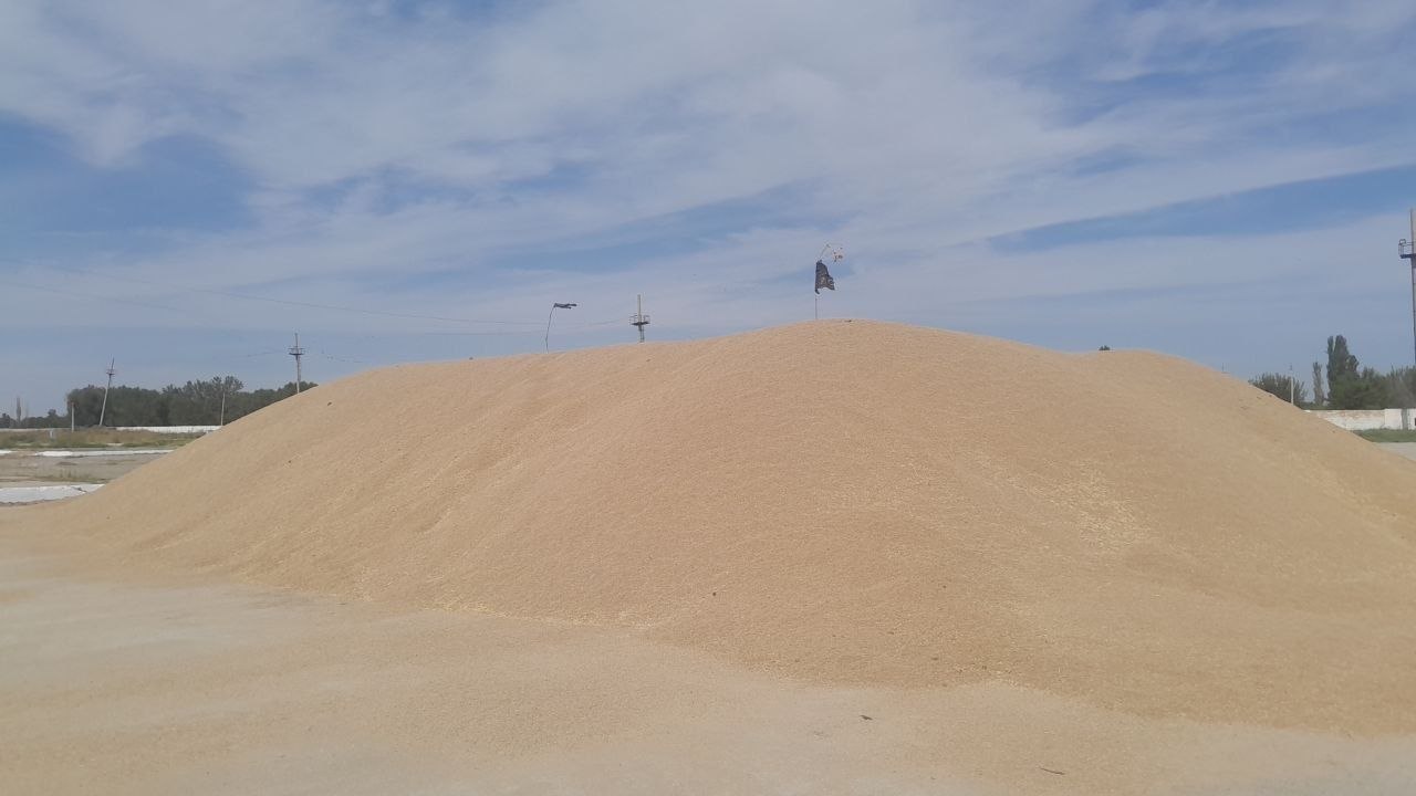 Бугдой бор 400 тонна