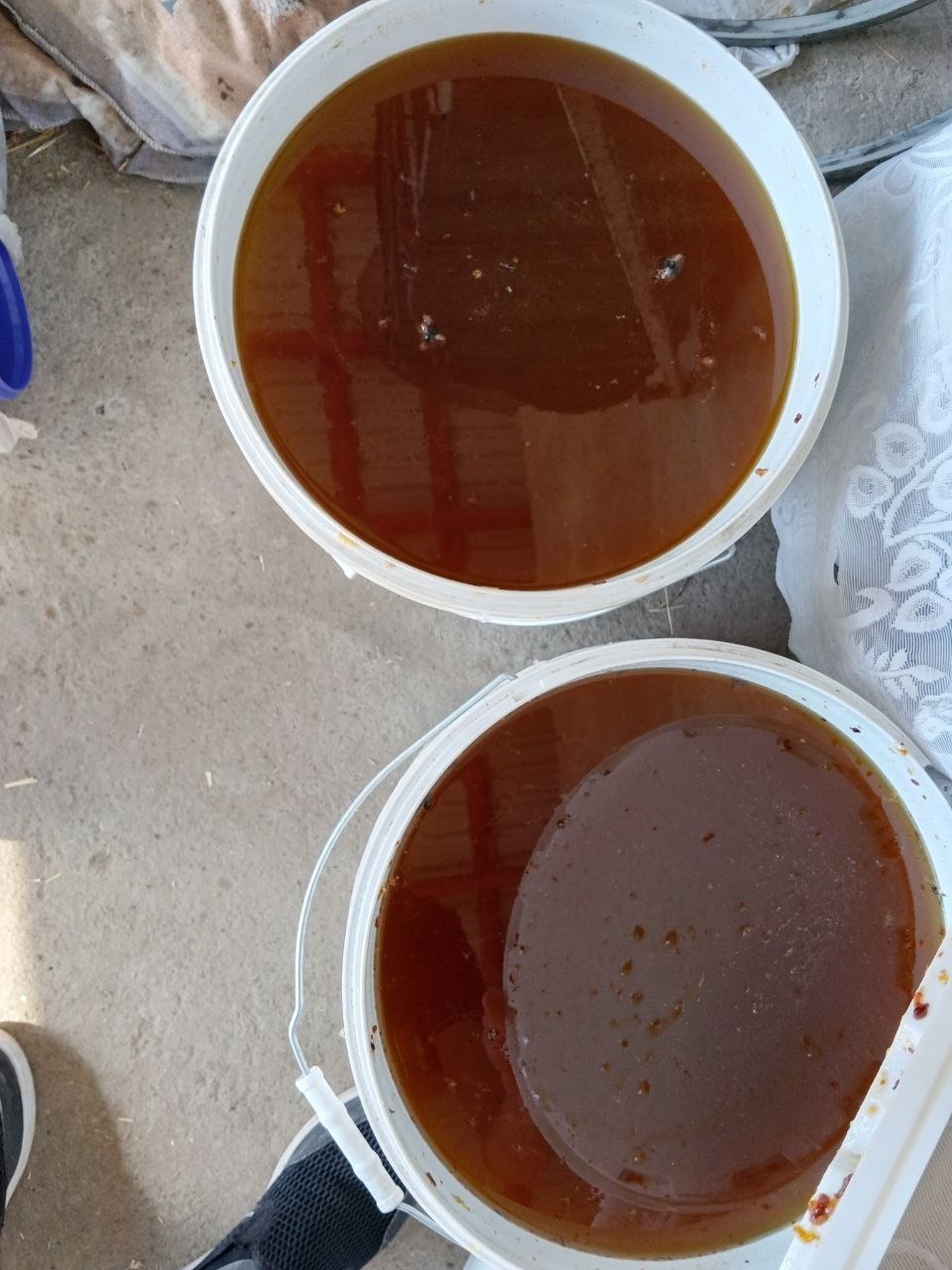 Tog' asal optim narxralda manzil Namangan shaxar