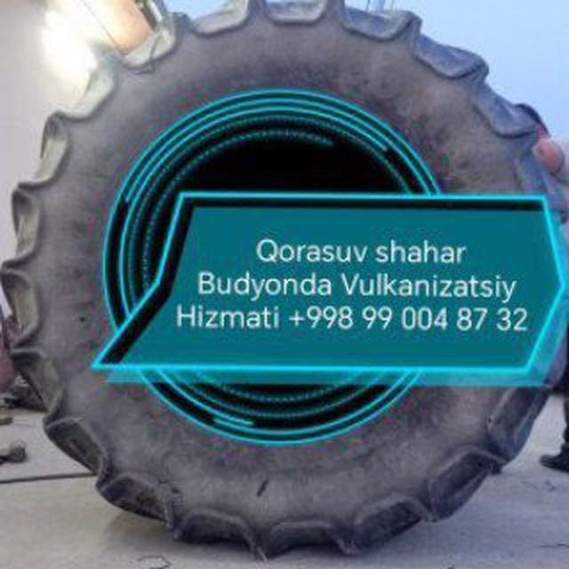 Vulkanizatsiya