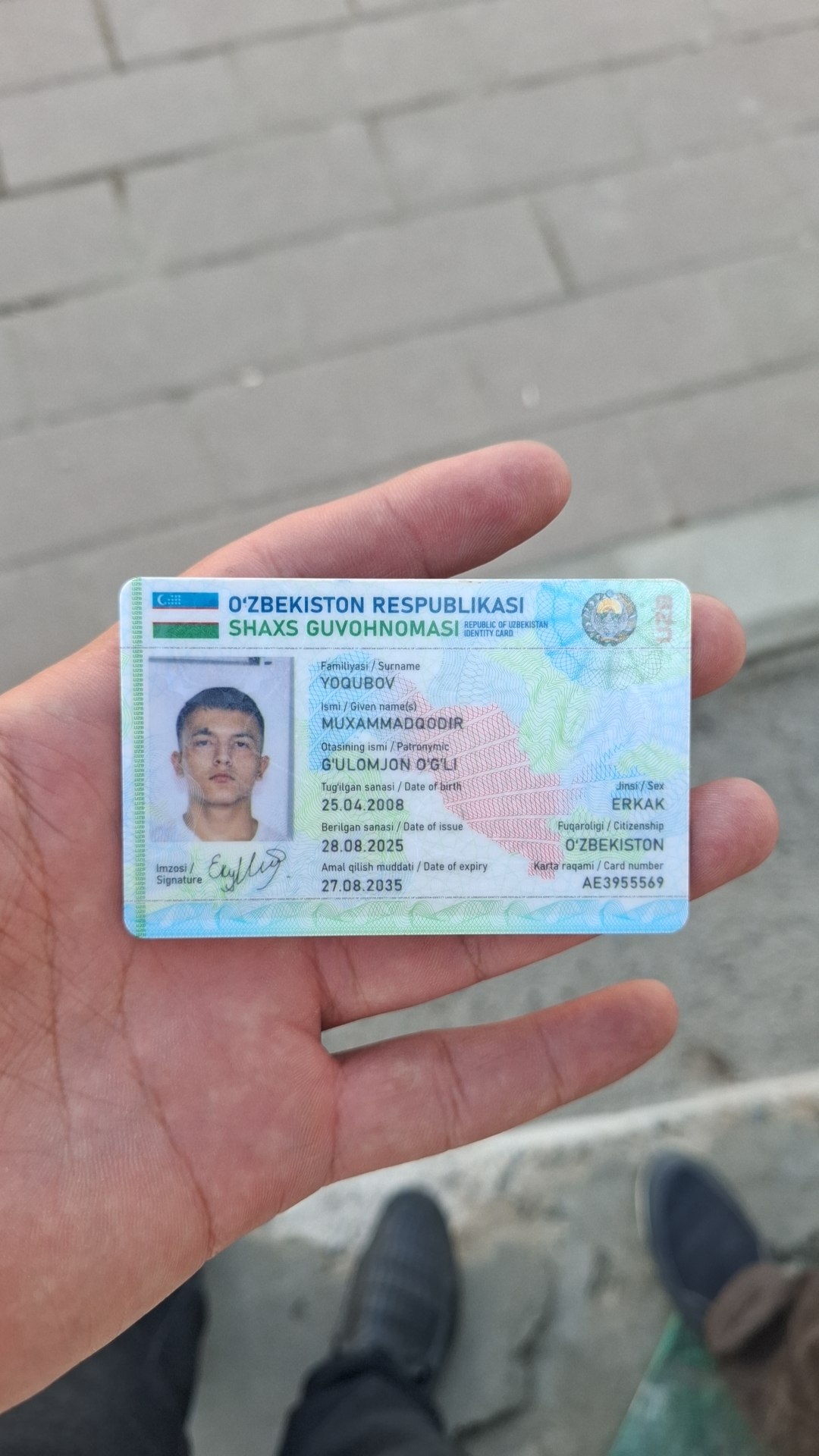 Спарк мошнадан топиб олинди