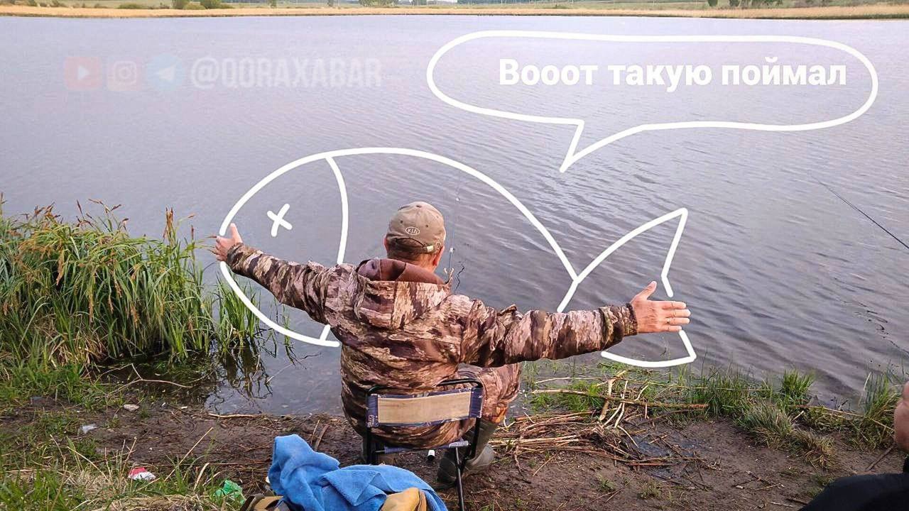 Расман Ўзбекистонда сиз 5 кг гача балиқни бепул