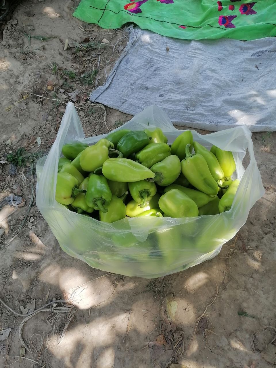 400 kg balgar — sifatli va arzon