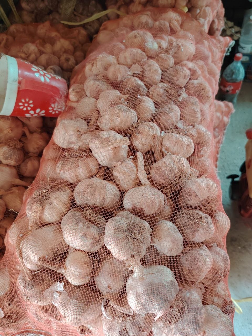 Chesnok — 1 kg 5000 so'm