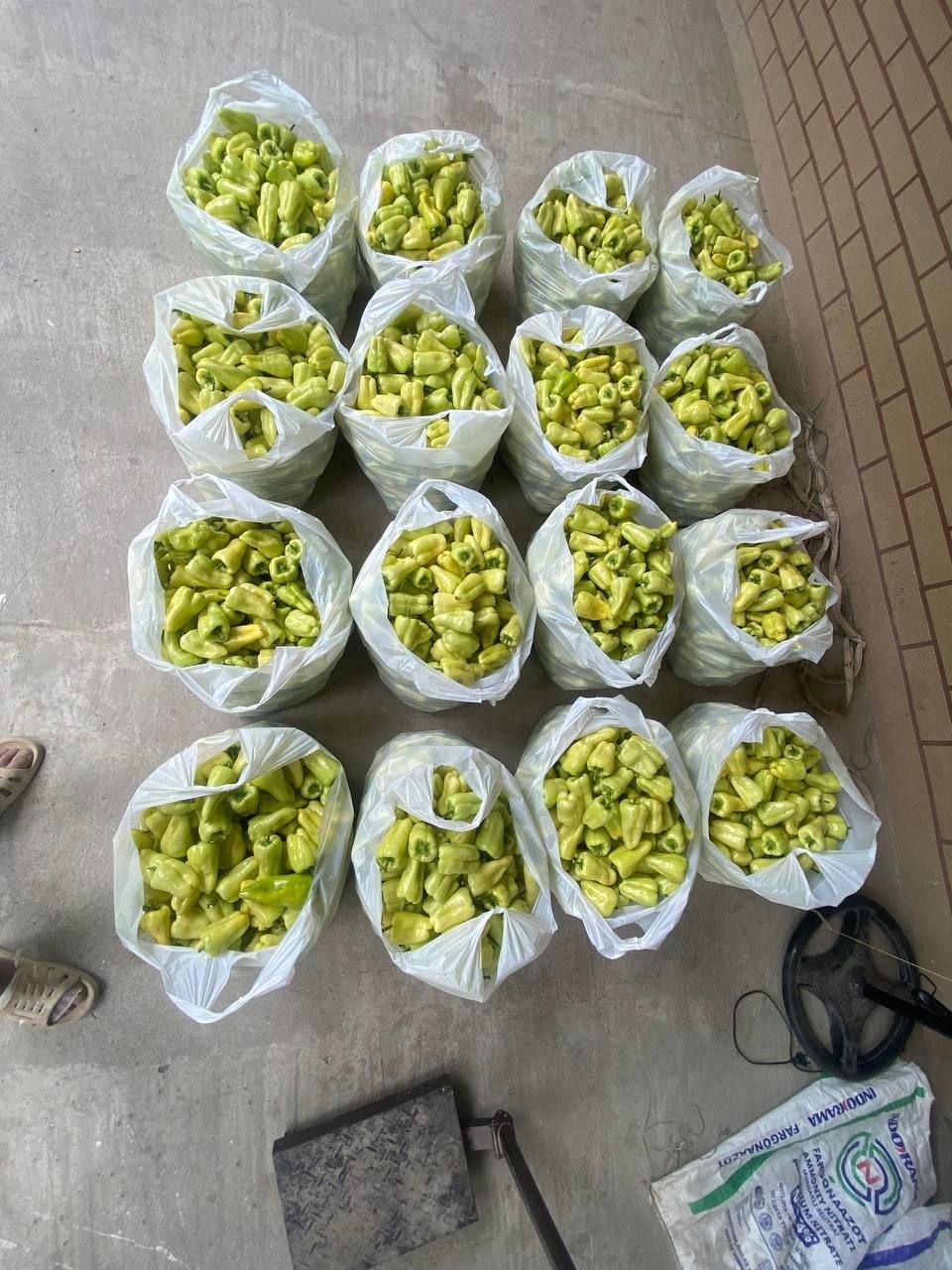 Balgaris qalam — tayyor, sifatli