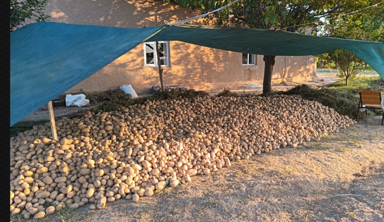 10 tonna arezona — sifatli va arzon