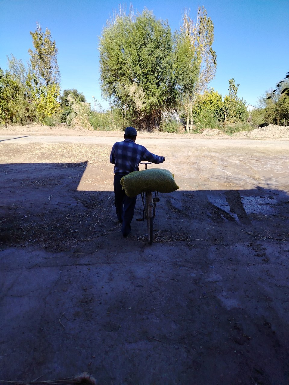 Silos bor 1kg1 200-so'm