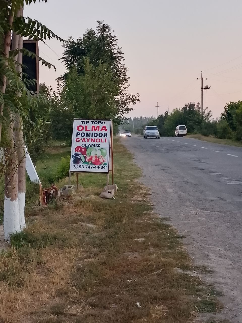 Tip topga olma pamidor olamiz puli naxt manzil