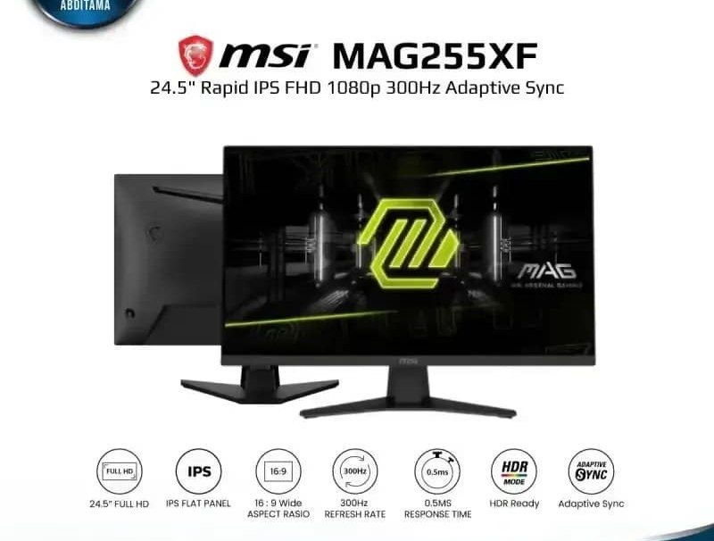 Monitor b/u