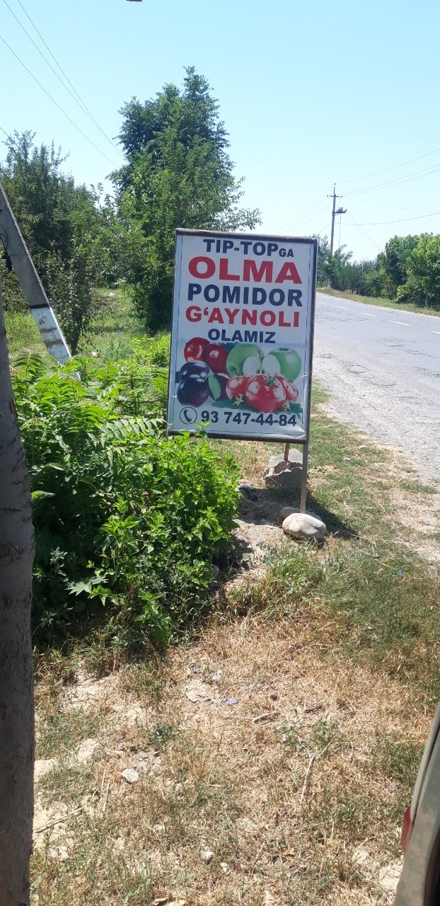 Tip topga olma pamidor olamiz