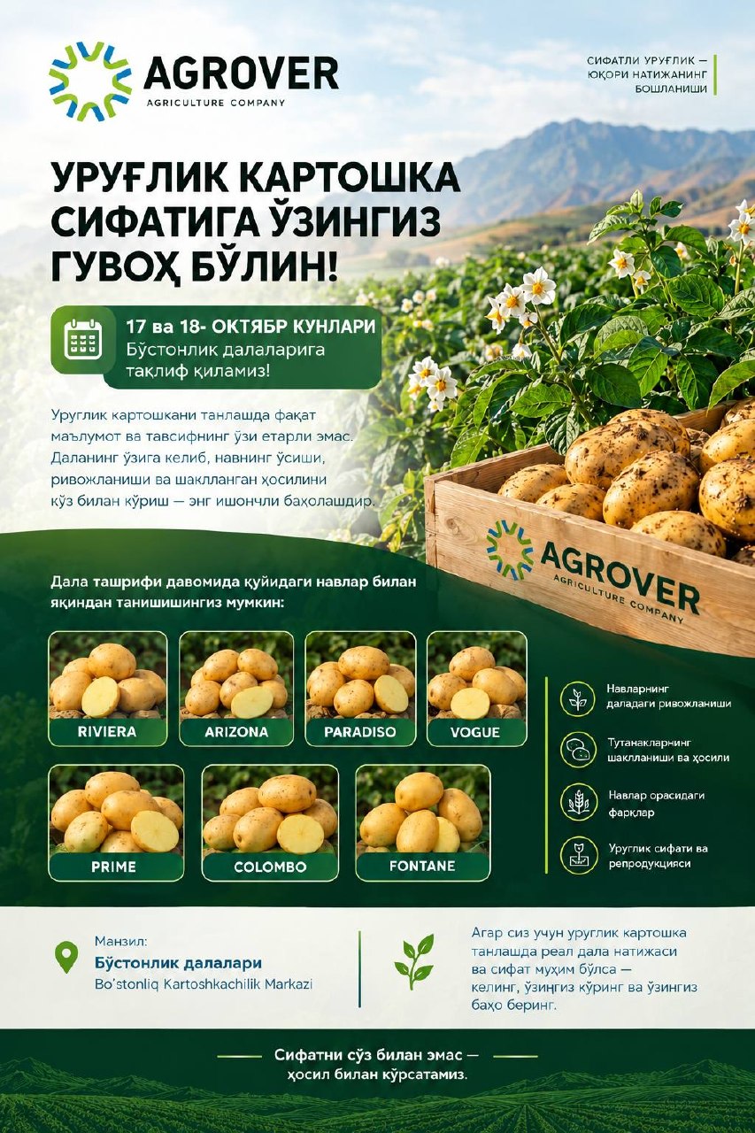 Уруғлик картошкани танлашда фақат маълумот ва