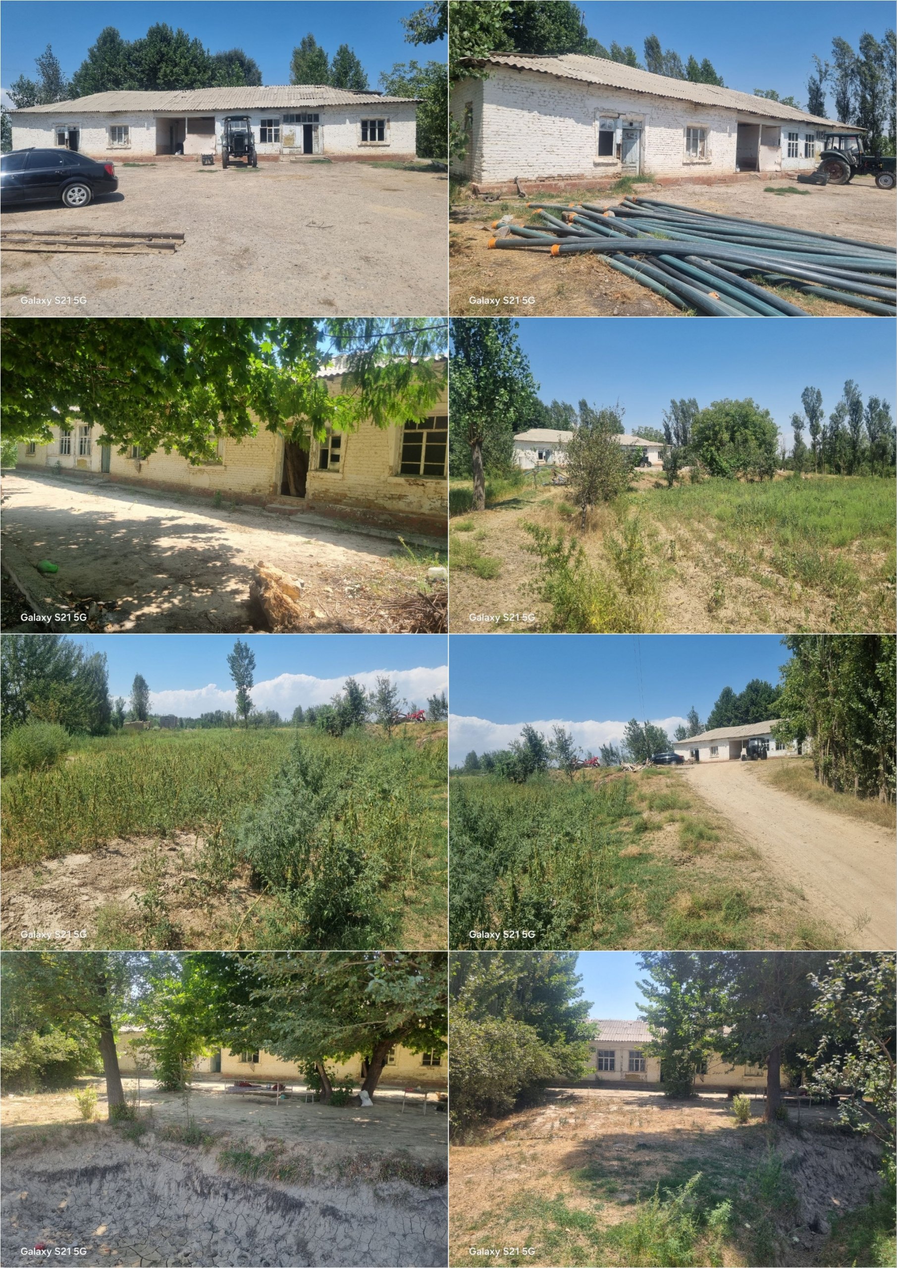 30 sotih yer — 10 xona, mevali daraxtlar