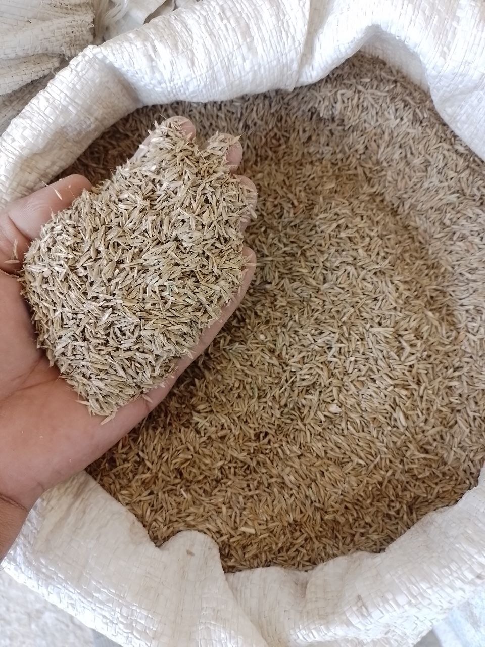 Gaz gazo‘n tuxmi — 500 kg