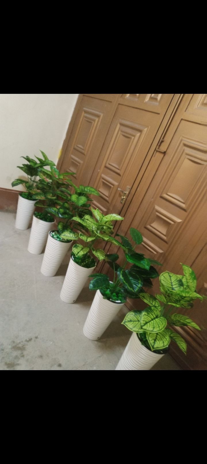 Xonadoningiz va ofis uchun dekor gullar