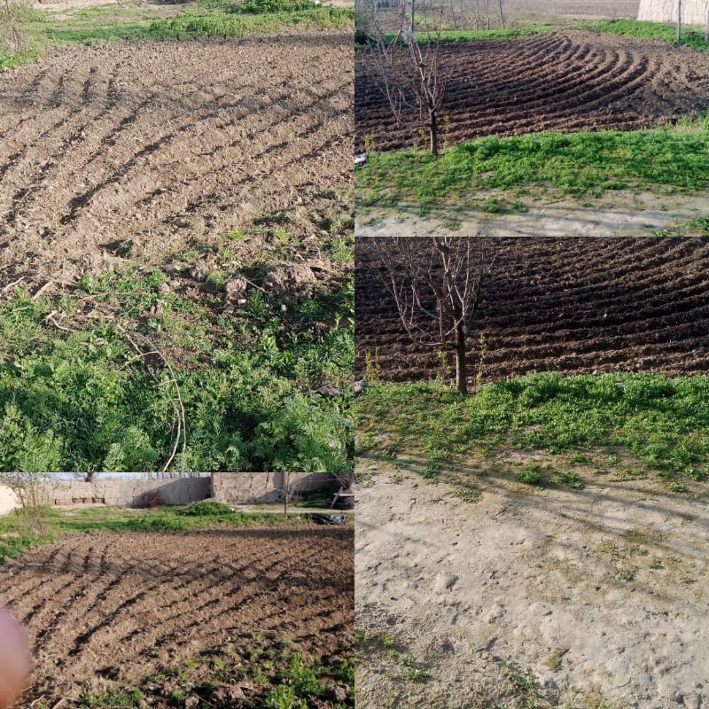 6 sotix quruq yer — hujjatlari joyida