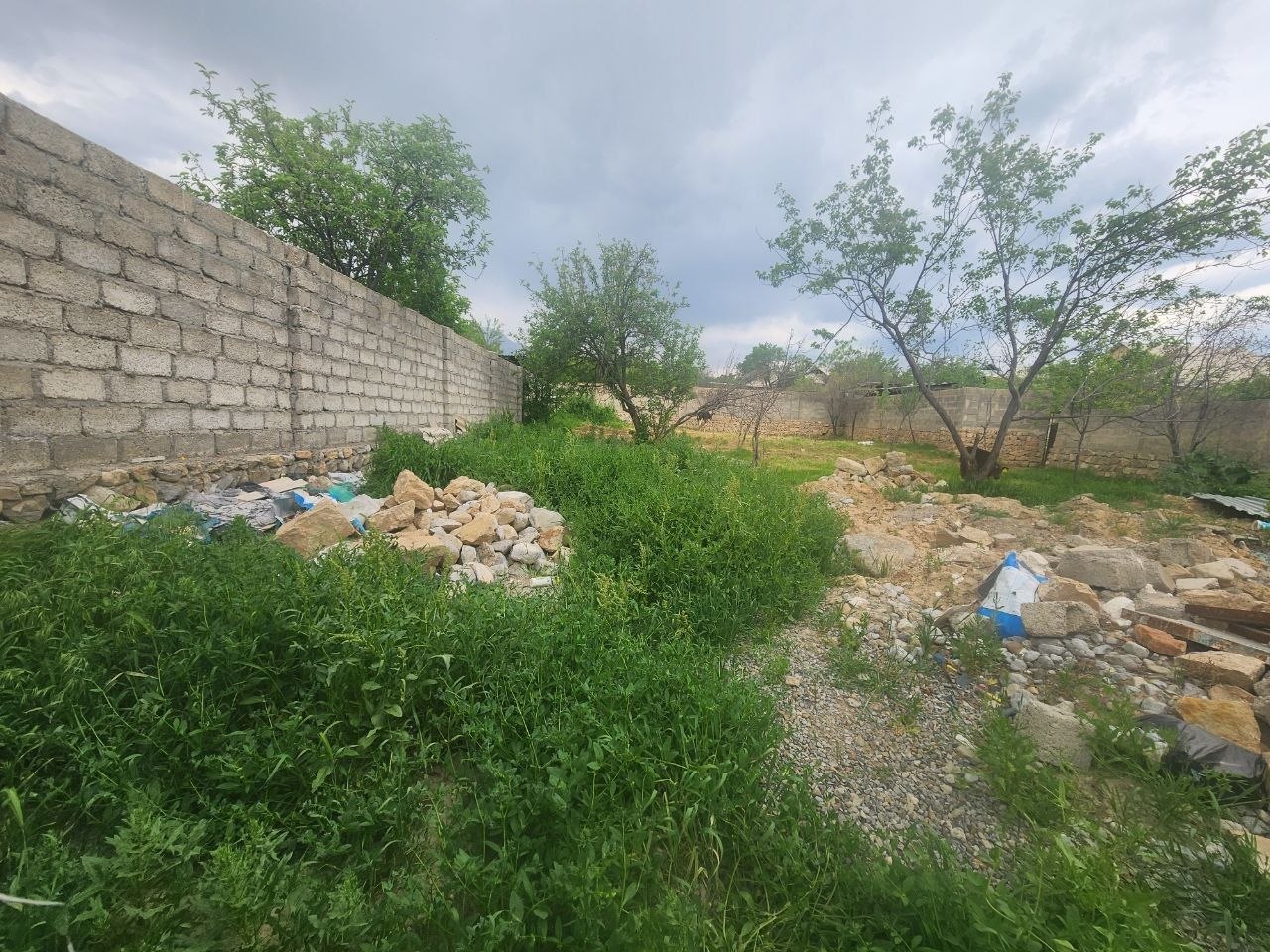 Shilaka bulok — 5 stox girdi, hujjat joyda