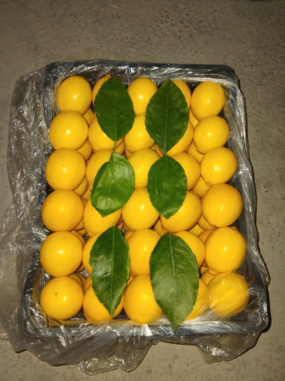 Limon Tayorlab beramiz yuk sifatli va ancha hamyonbop