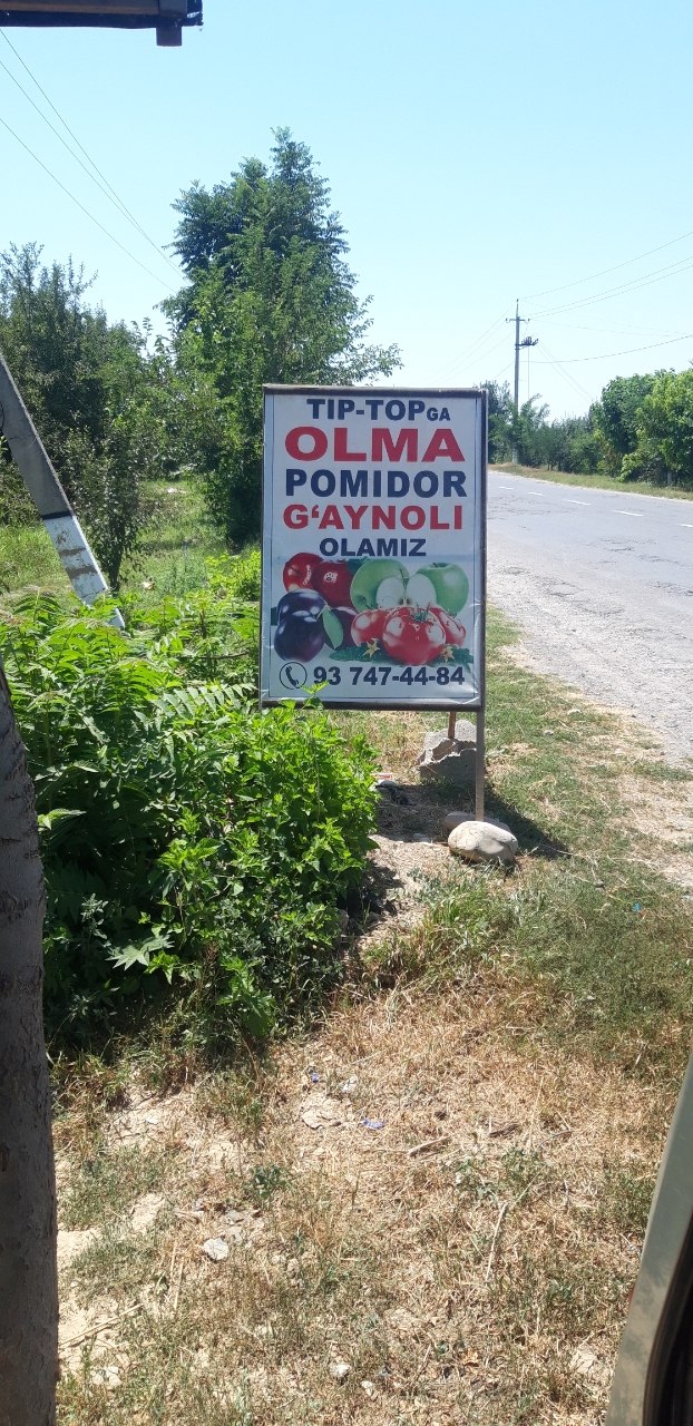 Tip topga olma 950 pamidor 700 800 olamiz