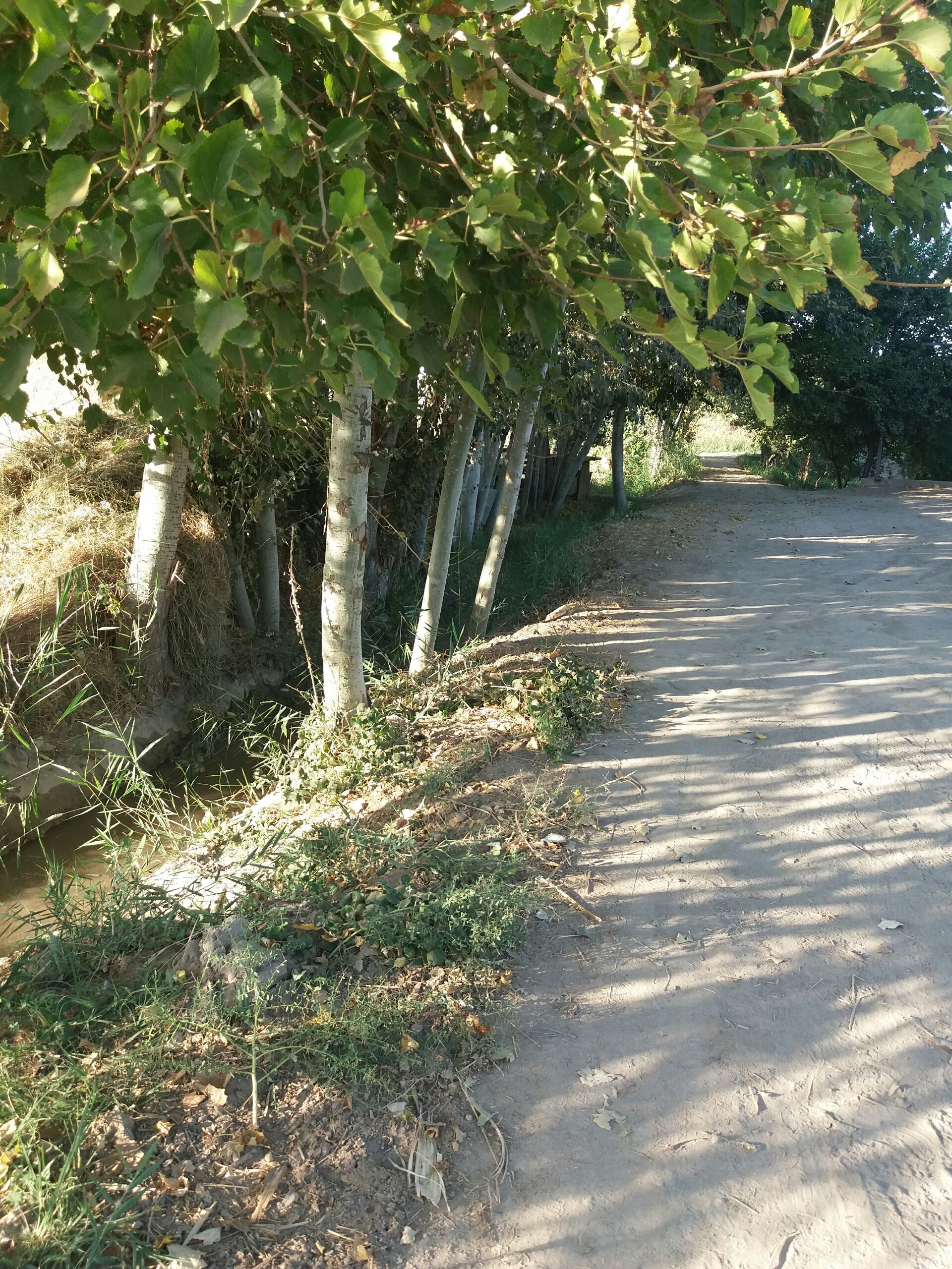 Teraklar tez va Donasi dan 100 tacha bor Manzil Olot