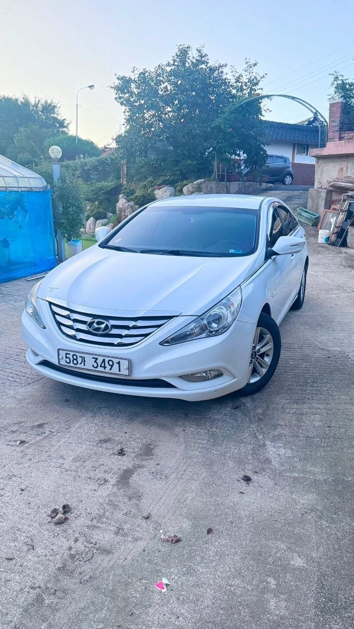 Sonata 2010