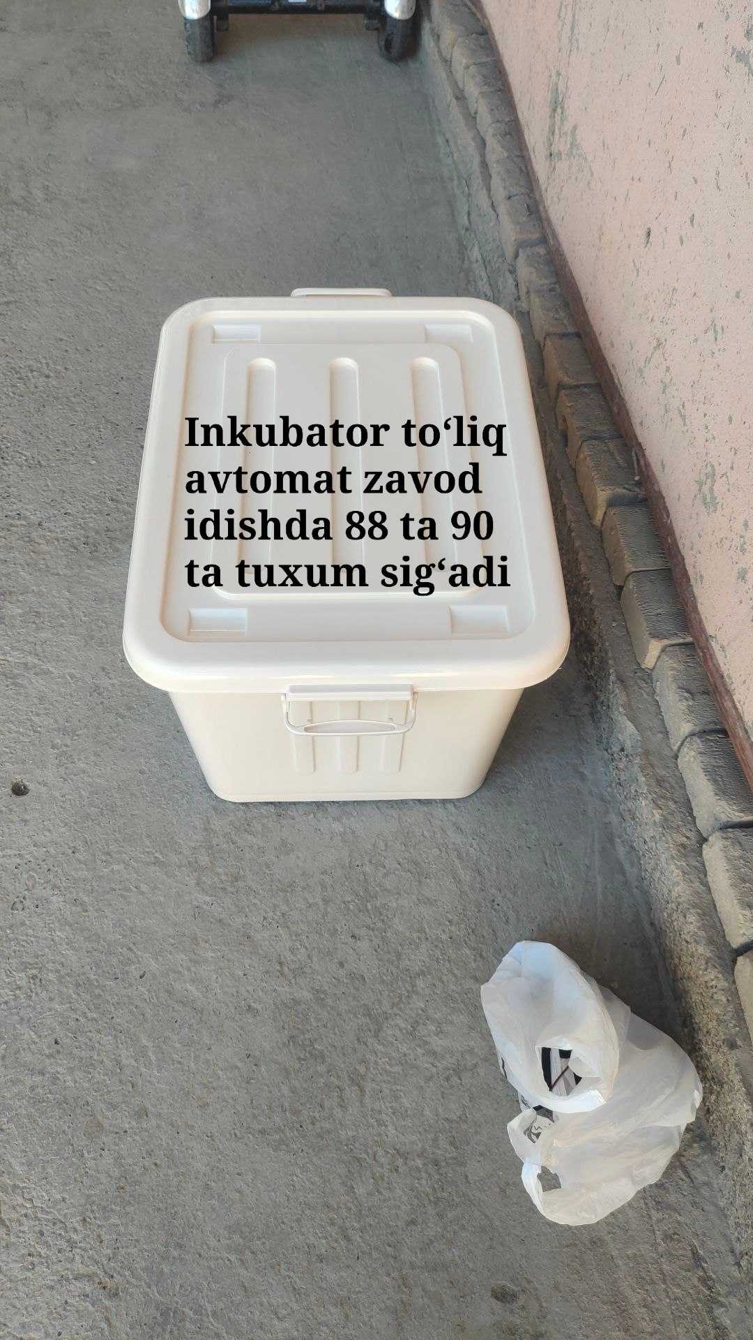 Inkubatorlar — yuqori sifatli