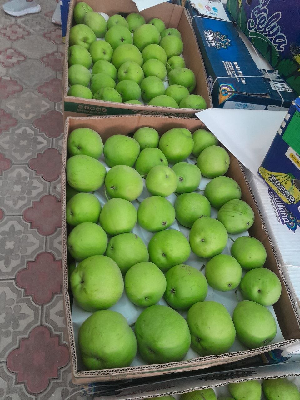 Nok manzil Yangiqurgonda