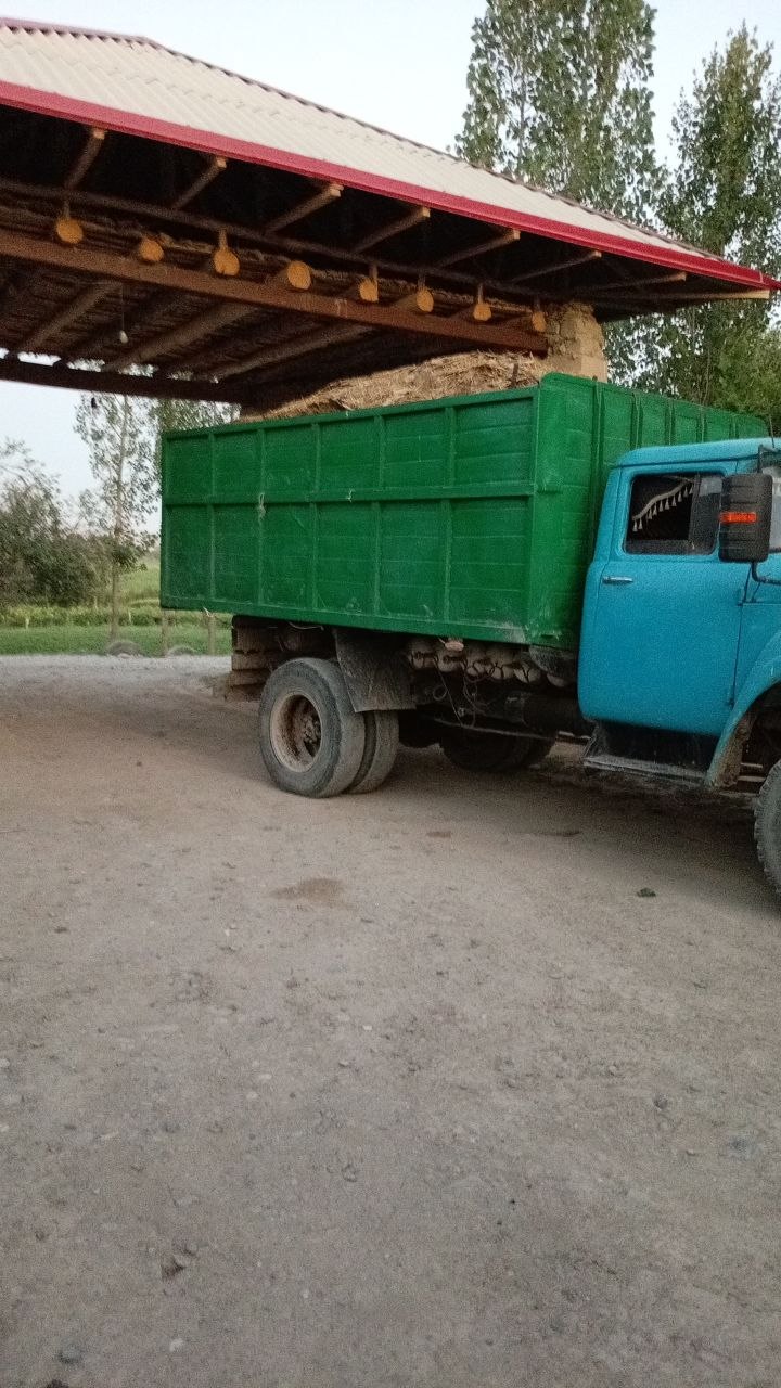 Tovuq go'ng keldi zilda