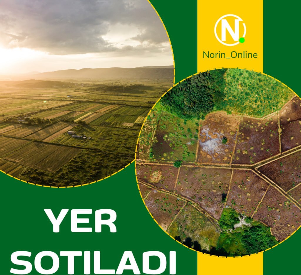 5 sotix yer maydoni — tadbirkorlik uchun
