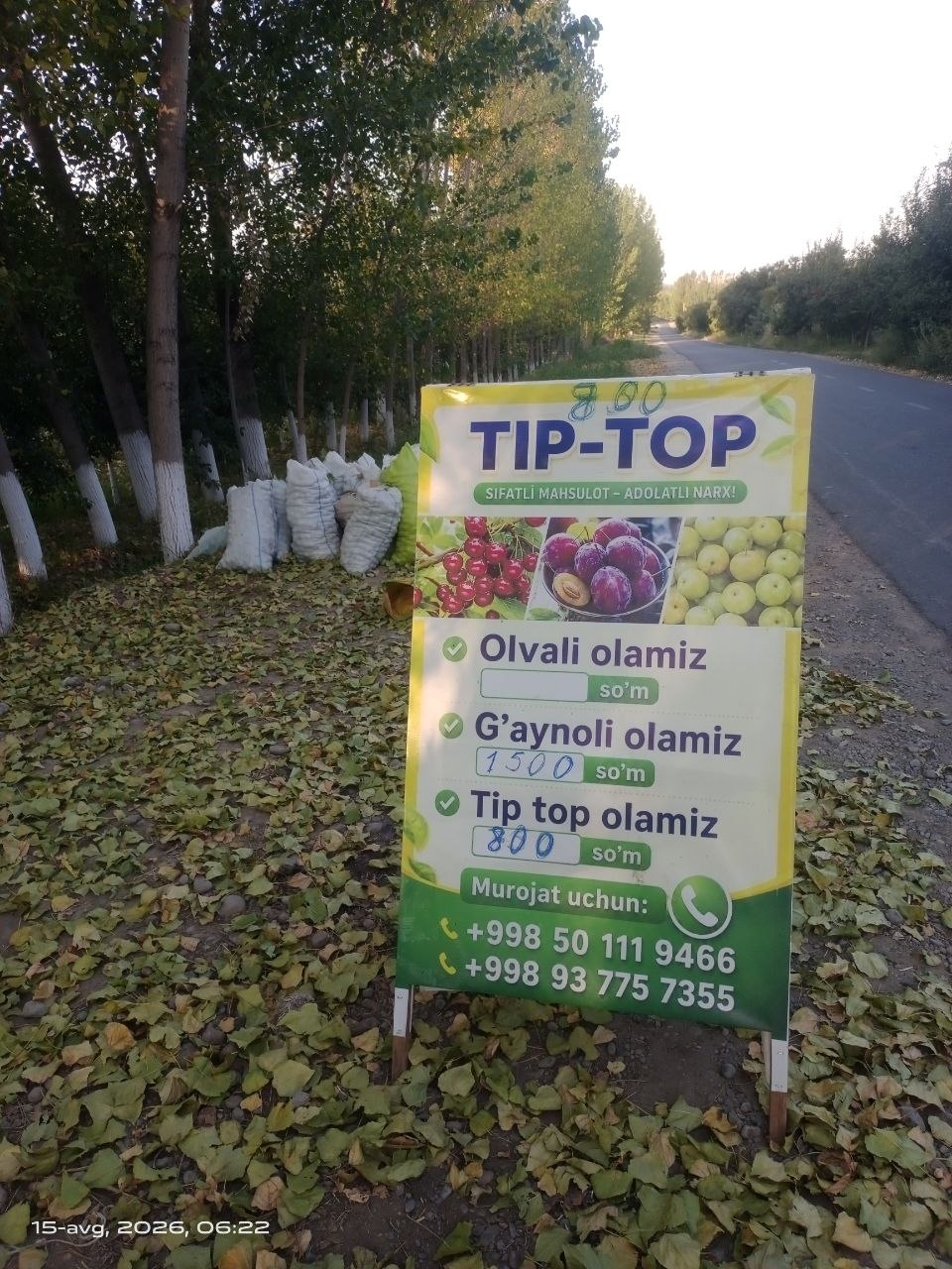 Tip topga olma olamiz tonna bosa Gaynoli ham olamiz
