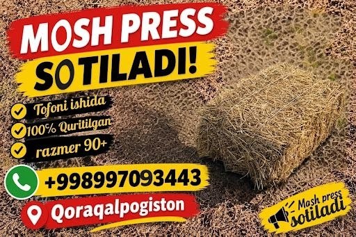Mosh pres Qoraqalpogistonda