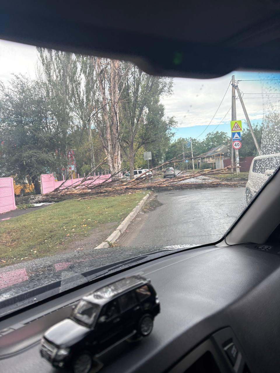 Упало дерево в Калининском районе Донецка на ул