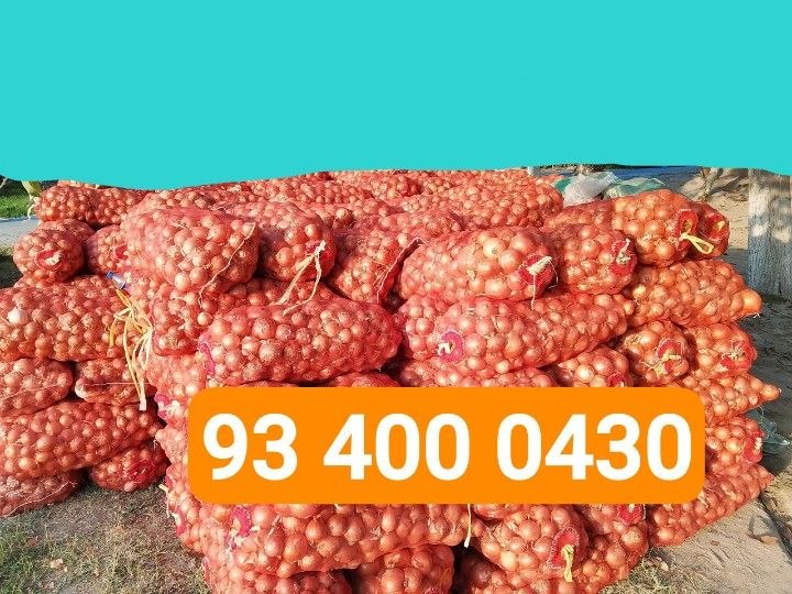 YANGI PIYOZLAR KELDI OPTIM NARXLARDA MANZIL NAMANGAN