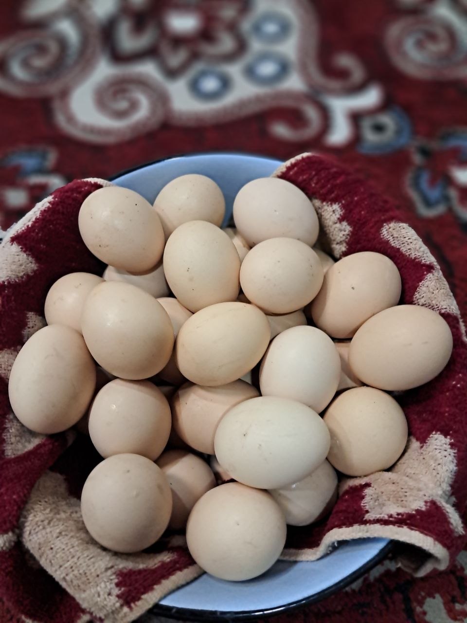 Kora tovuq tuxumlari — ishonchli manba